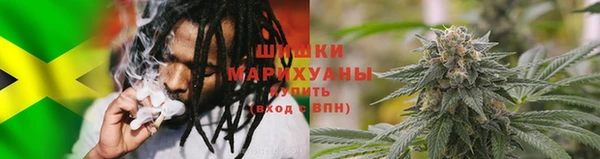 СК Алзамай