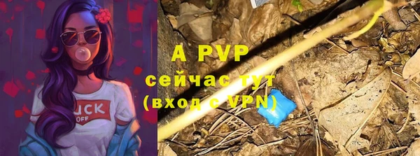 ешки Алексин